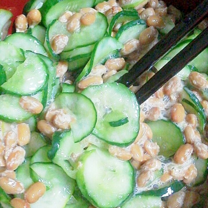 納豆胡瓜
